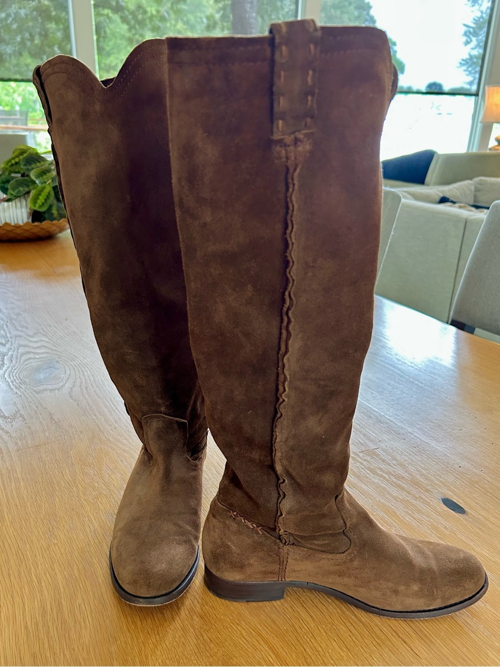 Womens Frye Cara Tall Brown Suede Leather  Riding Boots